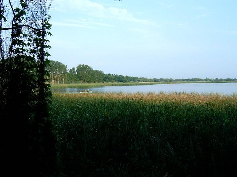 szate (017).jpg